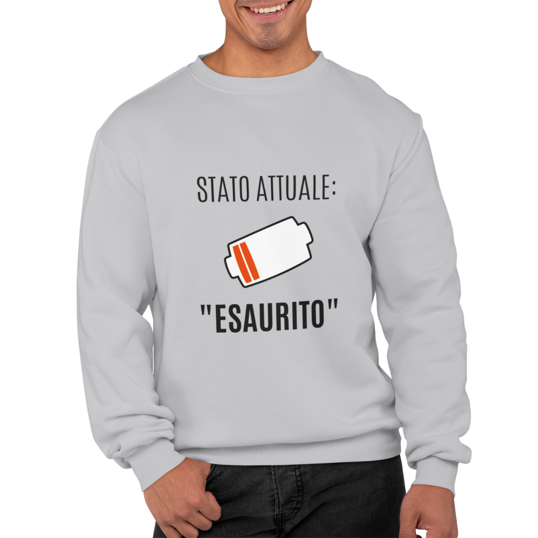 Felpa Girocollo Uomo "Stato attuale: ESAURITO"