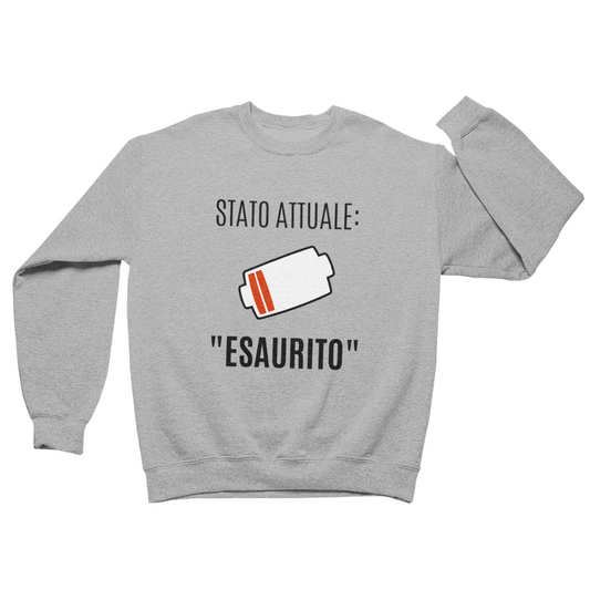 Felpa Girocollo Uomo "Stato attuale: ESAURITO"